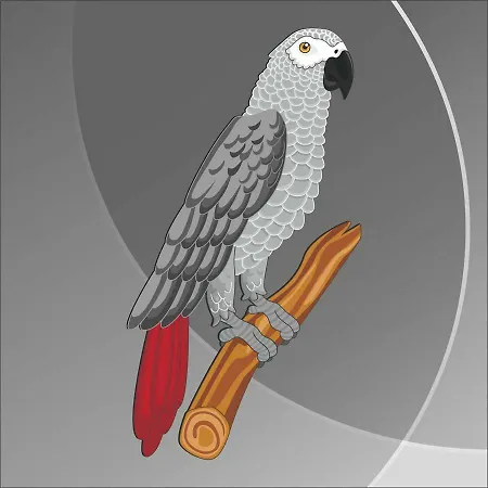 Il Cenerino SantʼAntìoco