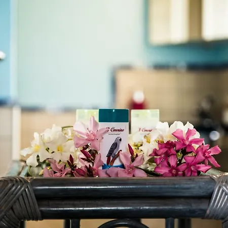 Bed and breakfast Il Cenerino