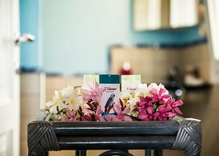 ベッド・アンド・ブレックファスト Il Cenerino