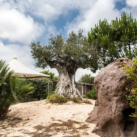 Il Cenerino SantʼAntìoco